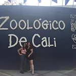 Cambulos