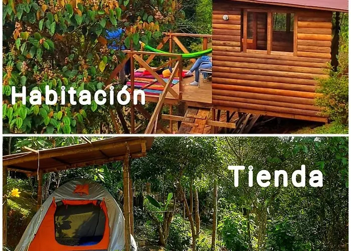 Camping Entre Arboles