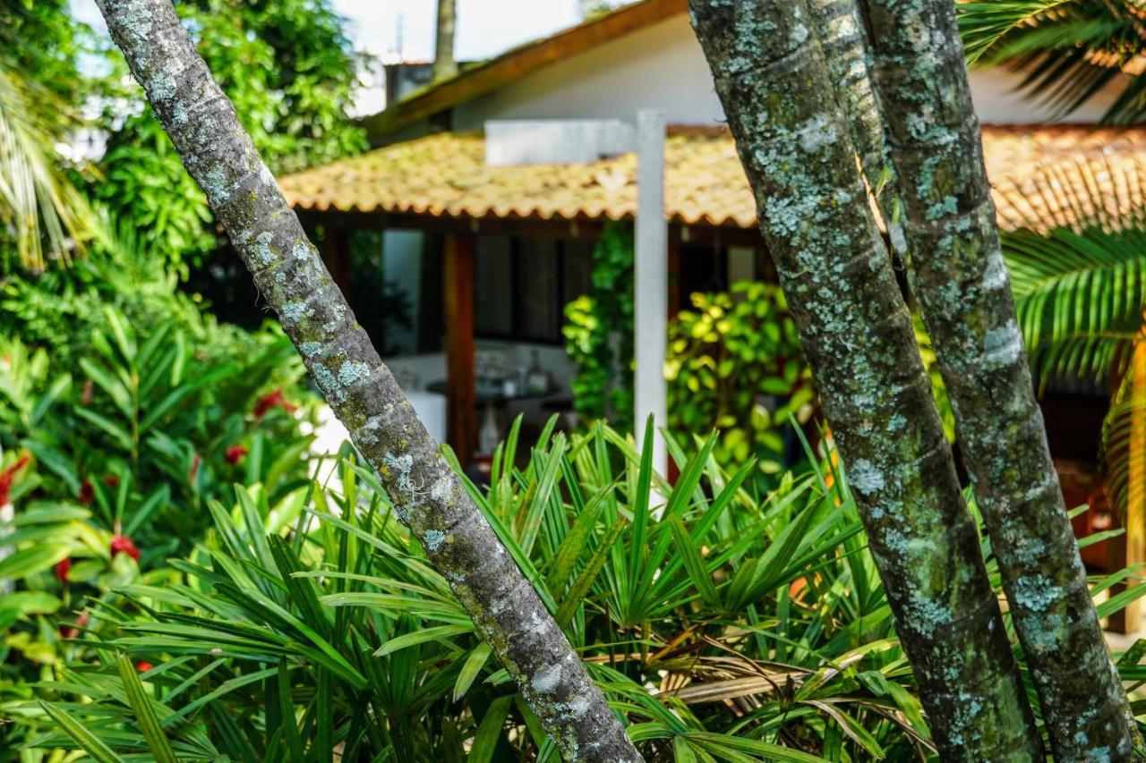 Bed and breakfast Boutique Casuarinas