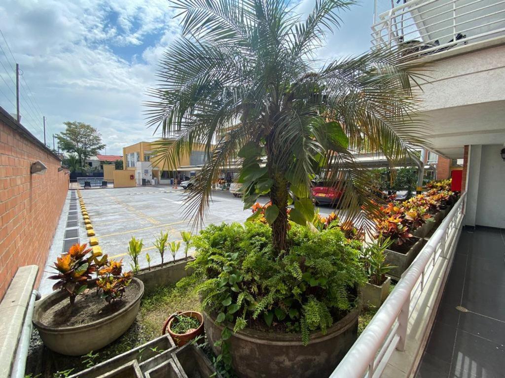 Apartamento Apartamento sur prados de mallorca Cali