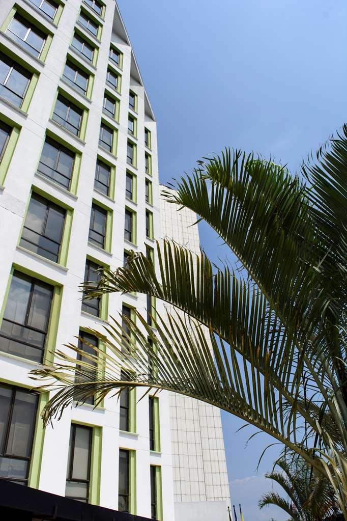 Cosmos - Hotel Cali
