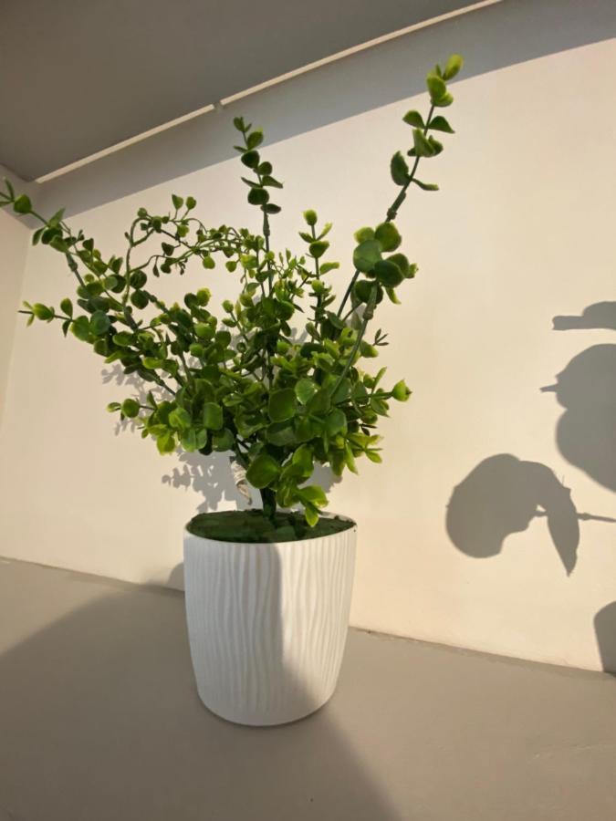 Apartment Granada Hermoso Apartamento Parking Fast Wifi Cali