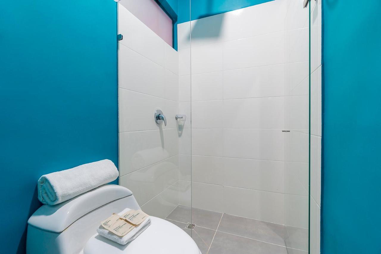 Ayenda Living Box 2* Cali