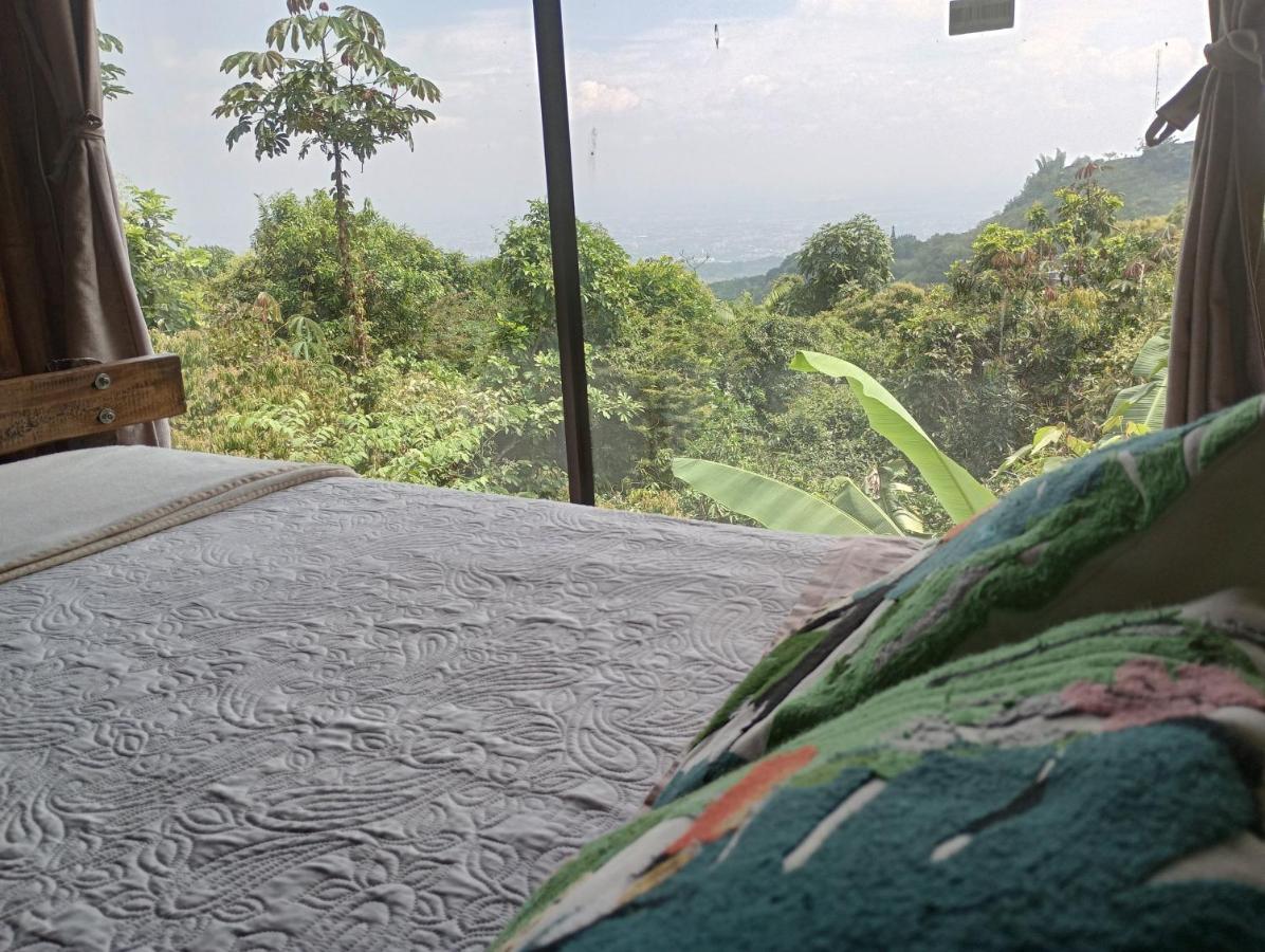 Colibrí Zafiro, Altos Del Rosario