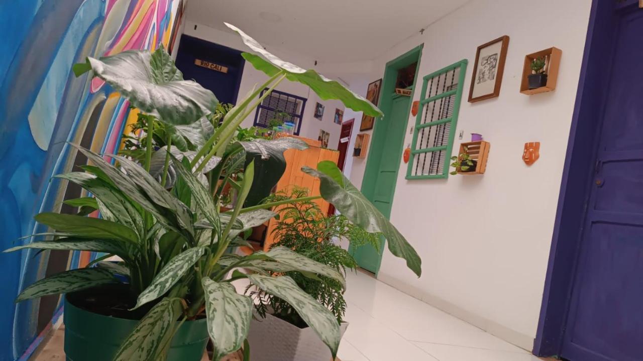 Casa Sotavento Guest house