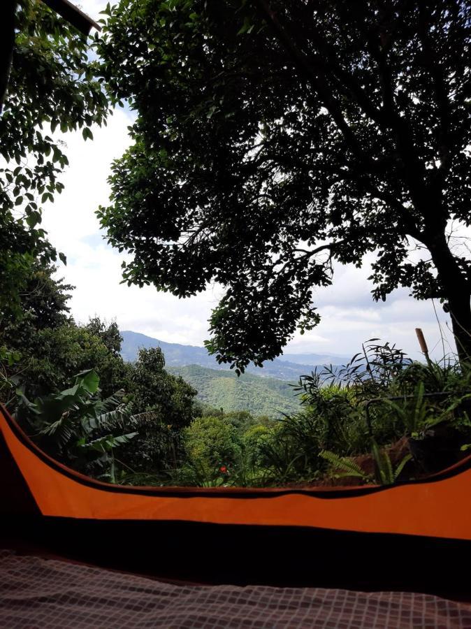 Camping Entre Arboles Camping *