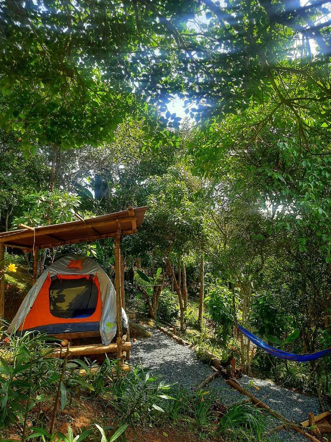 Camping Entre Arboles Cali
