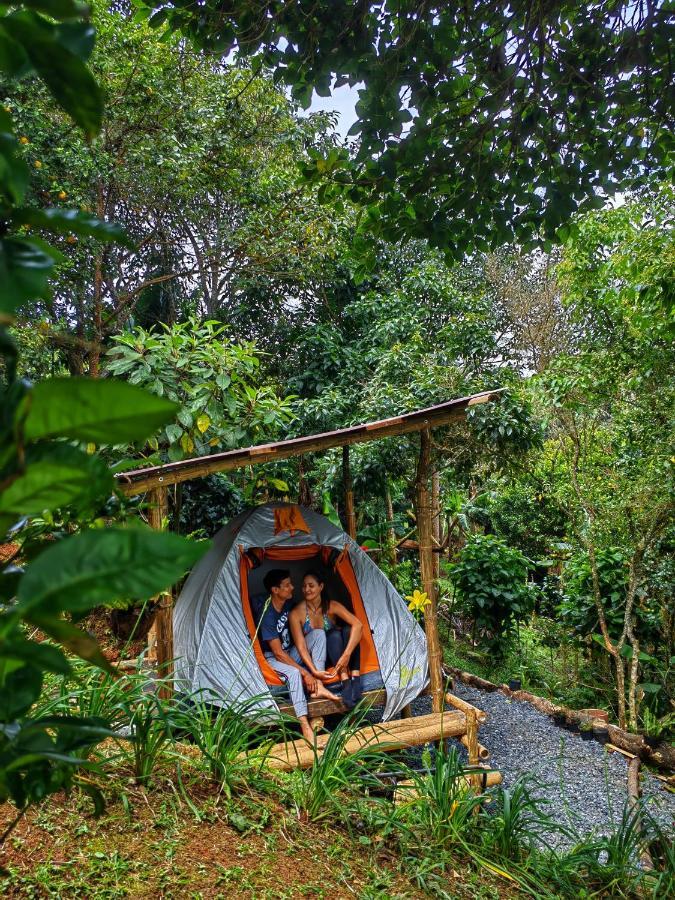 Camping Entre Arboles Camping *