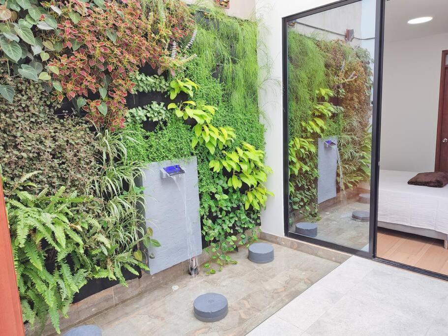 Apartamento Increible Duplex En San Vicente - *