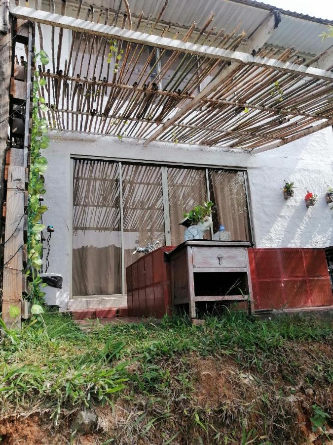 Camping Glamping Bambulina Cali