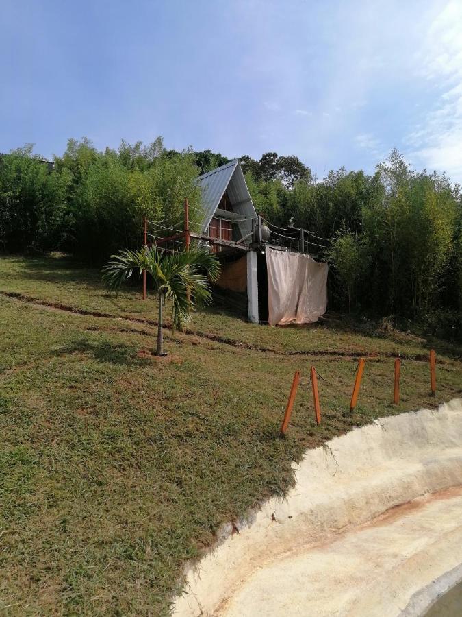 Camping Glamping Bambulina