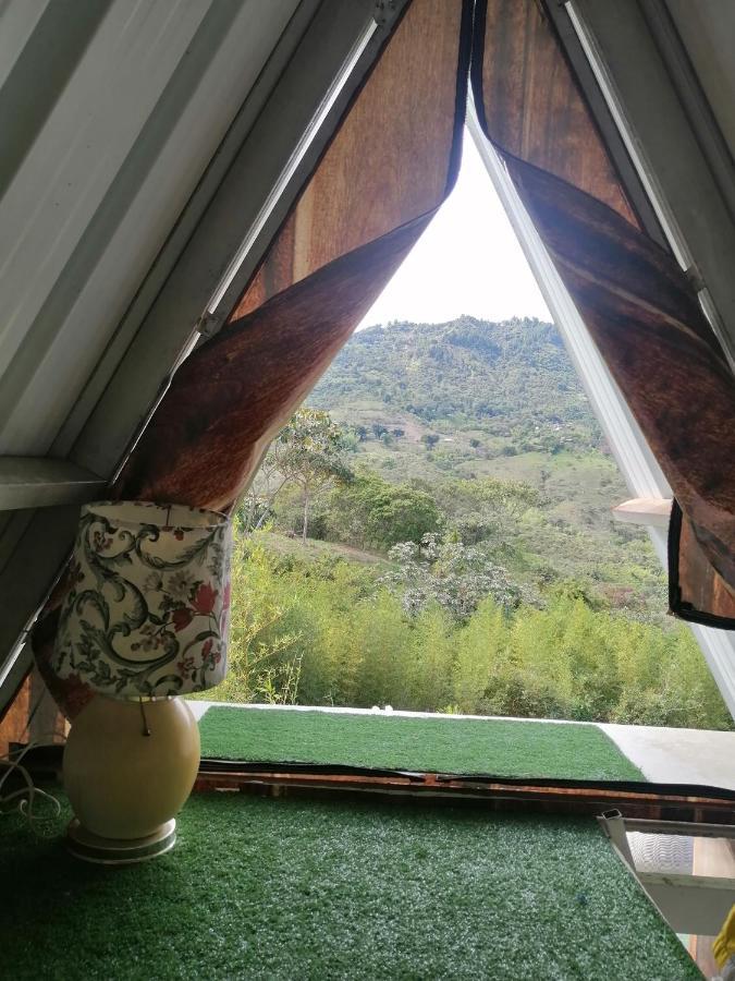 Glamping Bambulina Camping