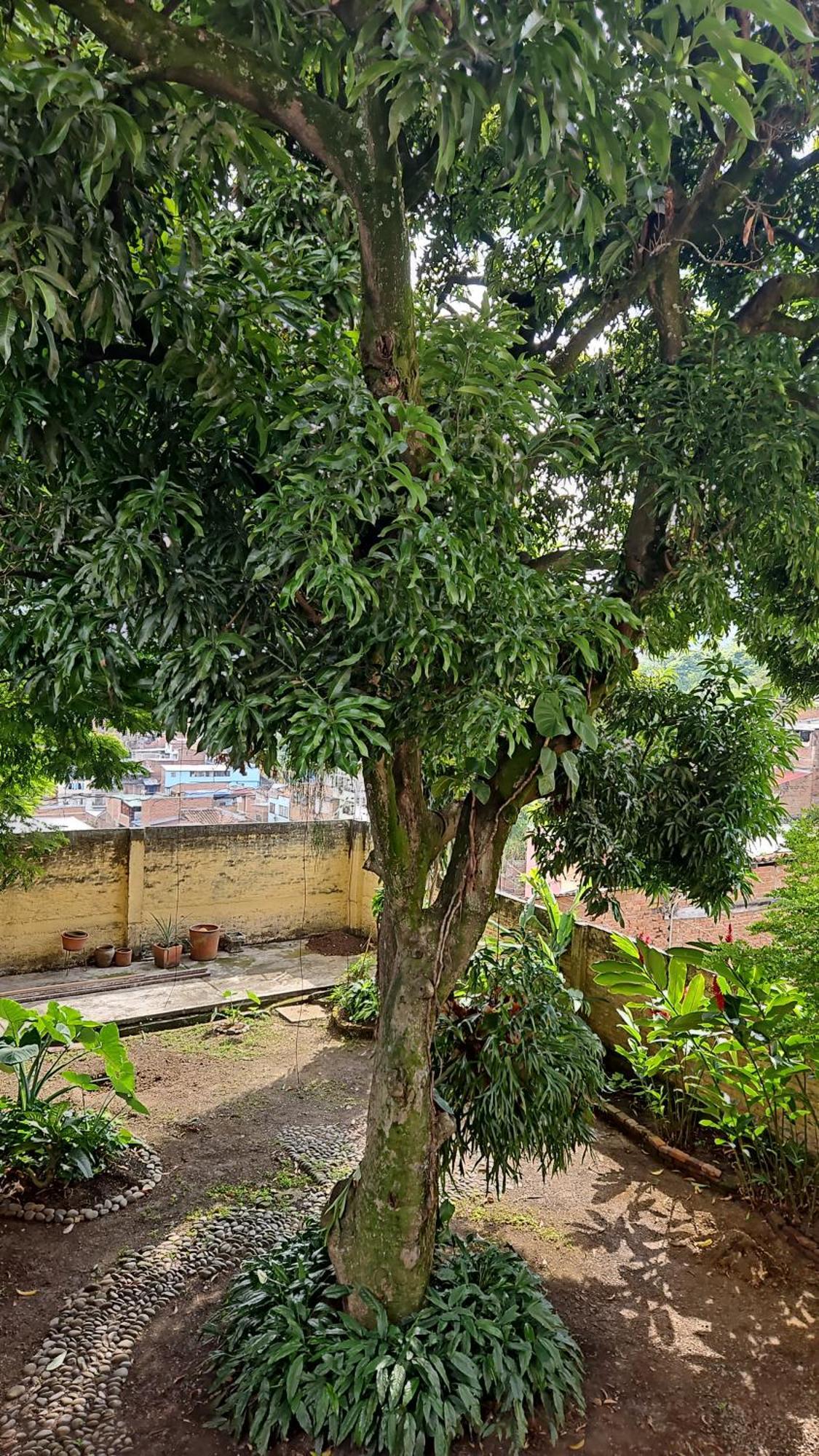 Pensión Casa Alba