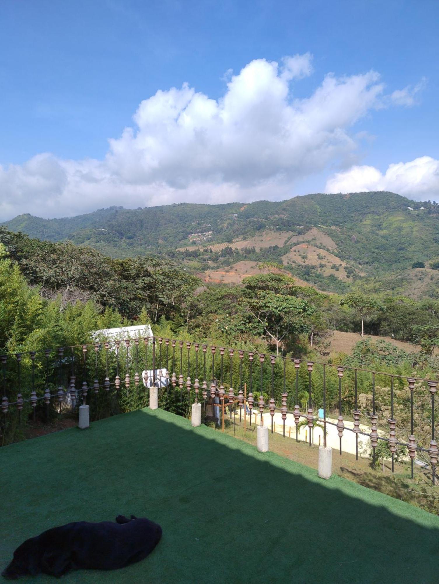 Glamping Bambulina