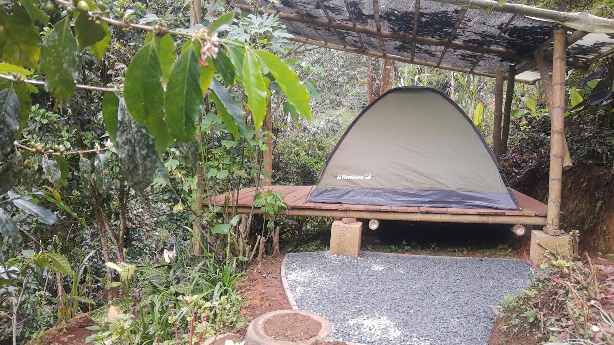 Camping Bosque Colibri