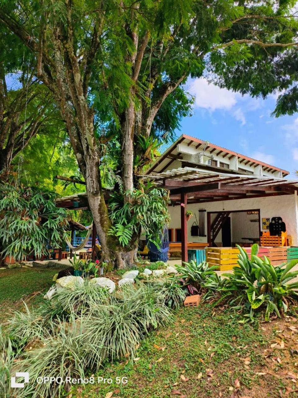 Country house Finca Casalegre *