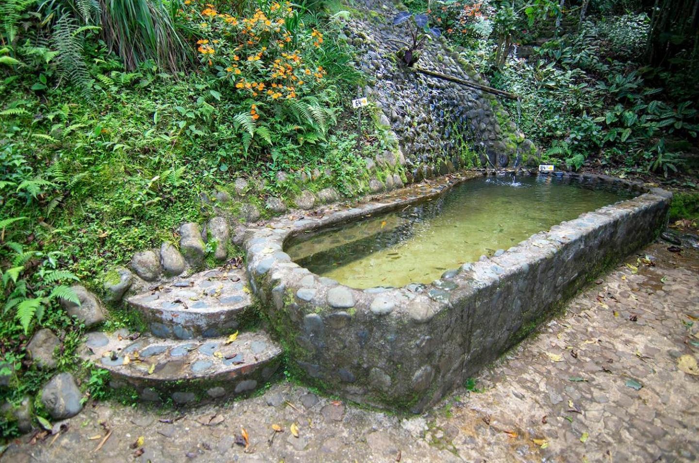 Agora Manantial Cali