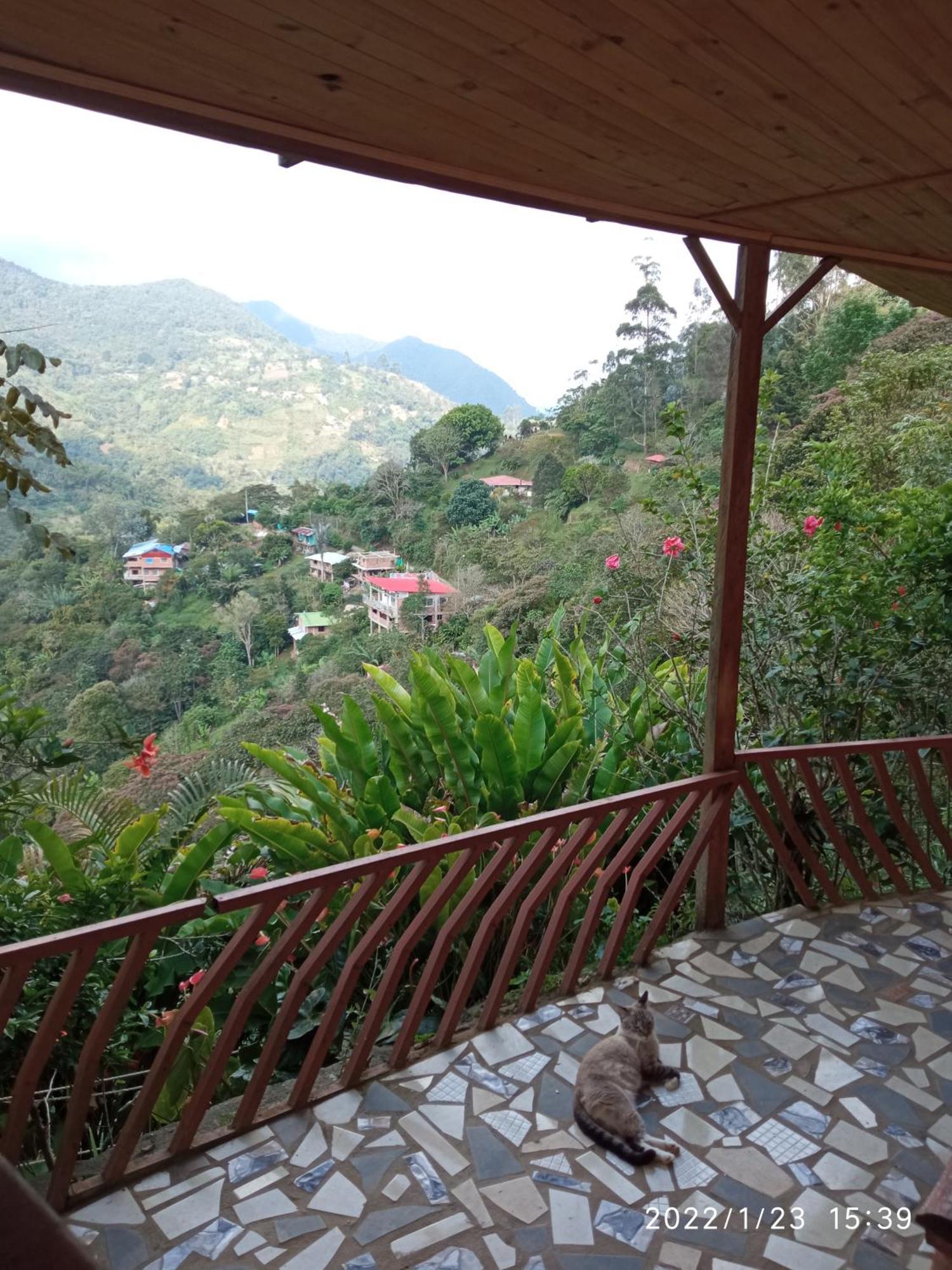 Сasa de vacaciones Agora Manantial *