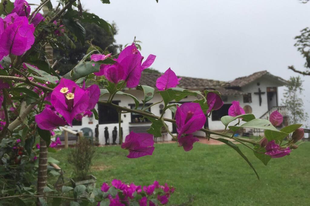 Villa Horizonte