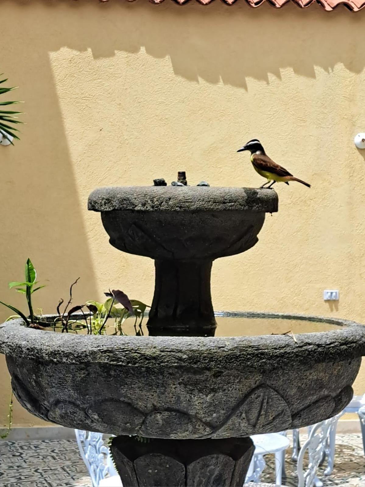 Hotel Casa Sileo - Boutique Cali