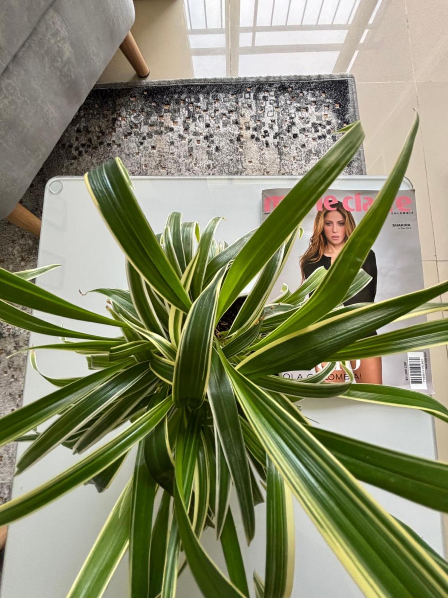 Acogedor Y Completo, Apto Cerca De Jardin Plaza, Con Piscina, Parqueadero Y Aire Acondicionado