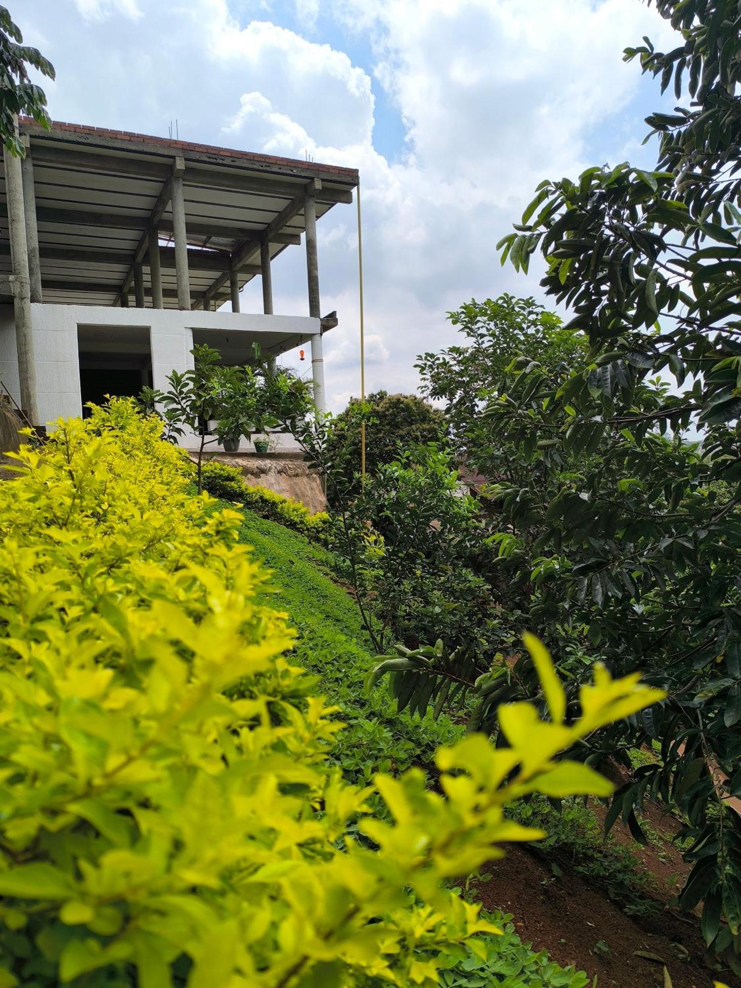 Casa Yarumo Campestre *
