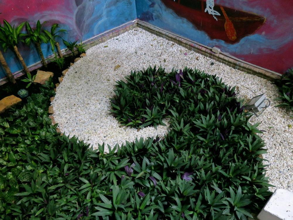 Casa Miraflores Hostel Cali