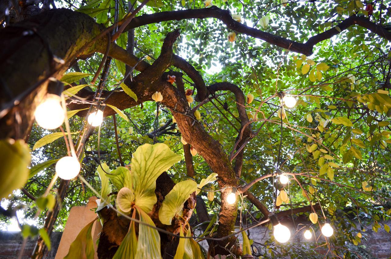 Magic Garden House Pensión Cali