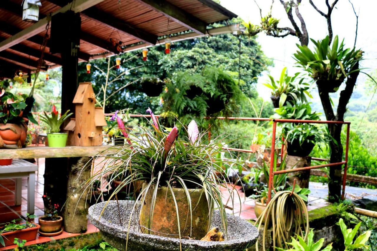 El Nilo Pance Bed & Breakfast *