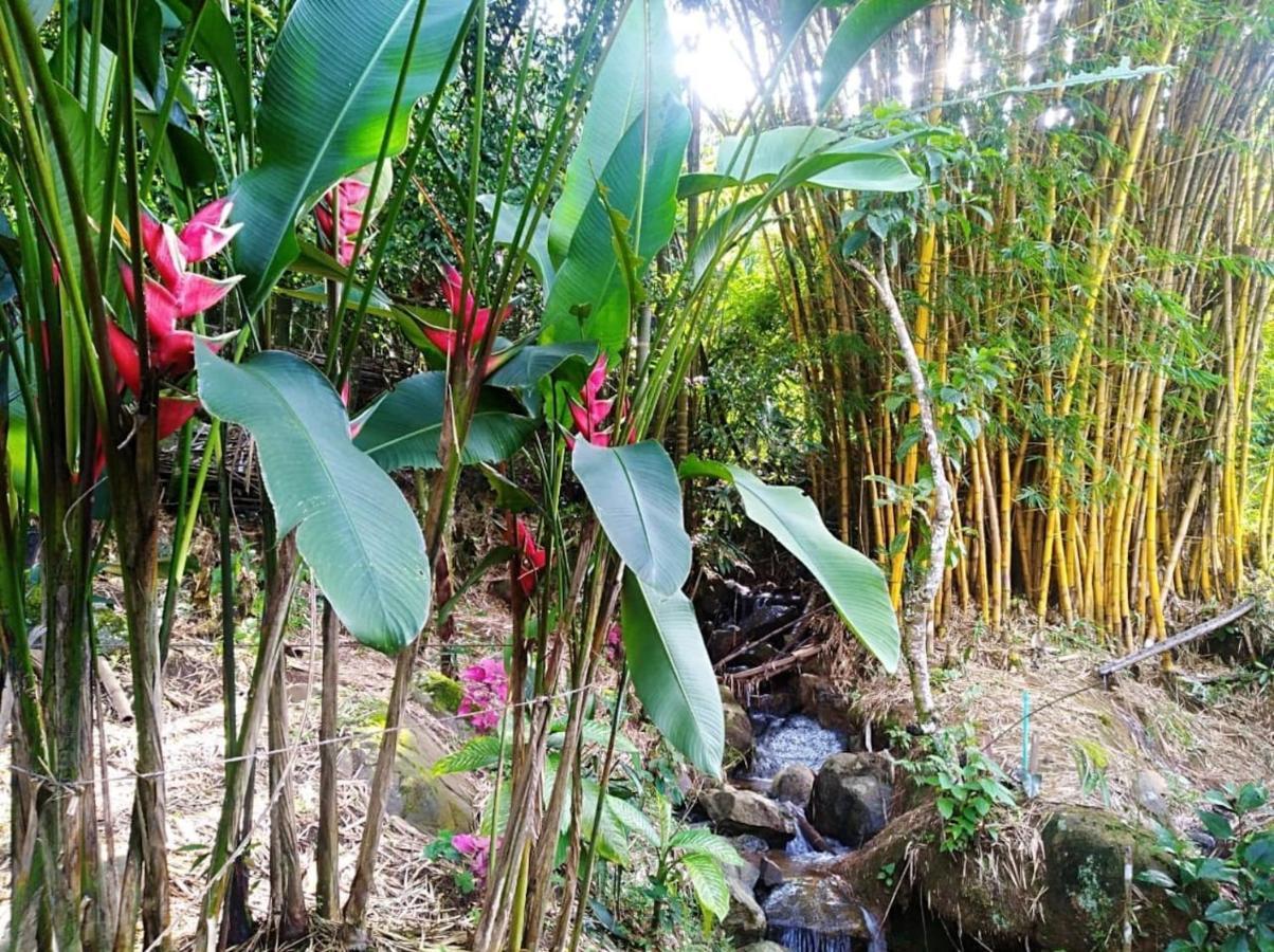 Colibrí Zafiro, Altos Del Rosario Apartamento Cali