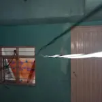Elcanelo1