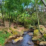 Finca Hotel Casalegre