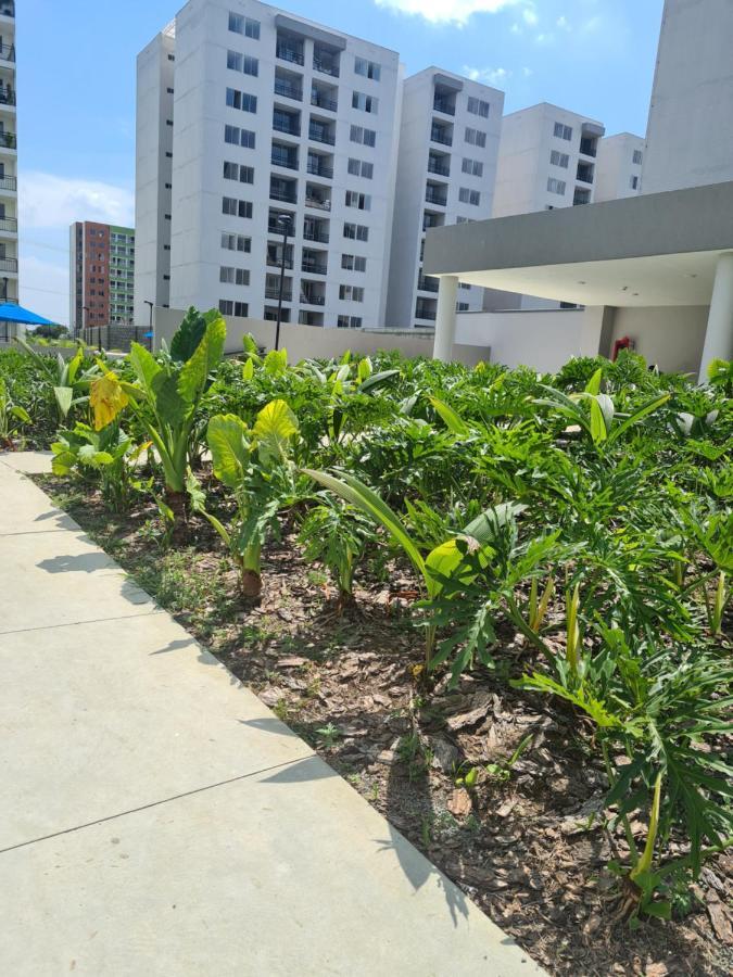 Kamelia Bochalema Apartamento