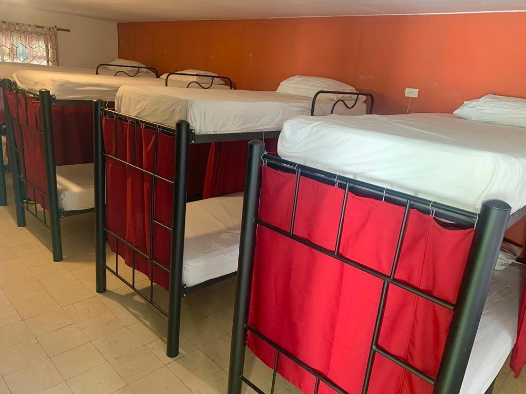 Hostal Pelican Larry