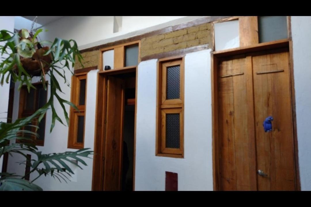 Parrot House San Antonio Apartamento *