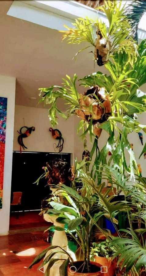 Parrot House San Antonio Apartamento Cali