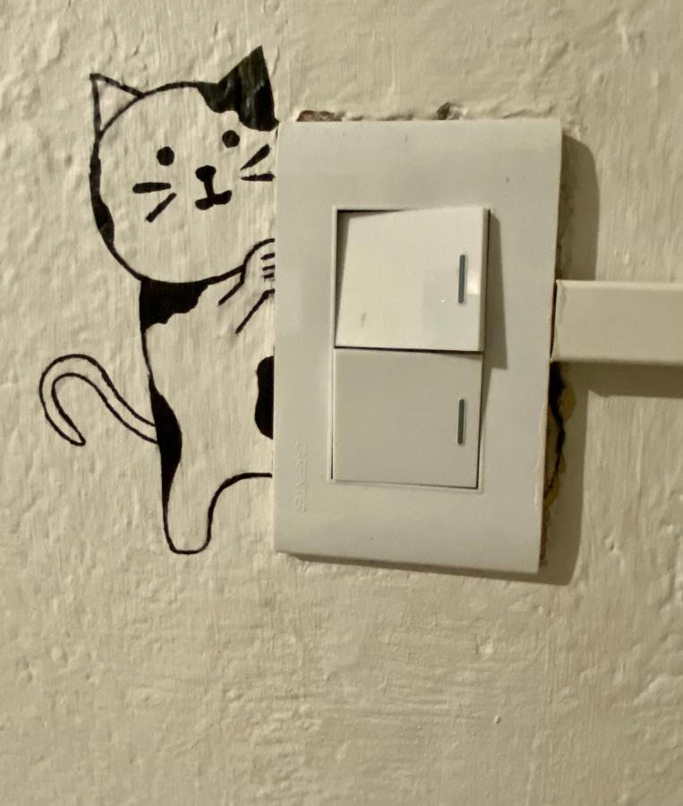 San Antonio Full House Con Fast Wifi Apartment