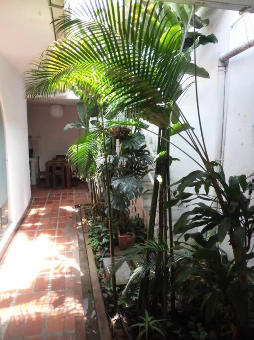 Casa Colonial En Pleno Centro Histórico De Cali- Se Alquila La Casa Entera 10 O 11 Personas O Por Habitación en casa particular Cali