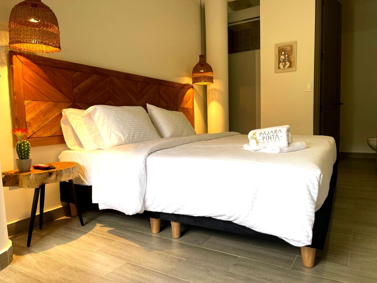 Hotel Pajara Pinta
