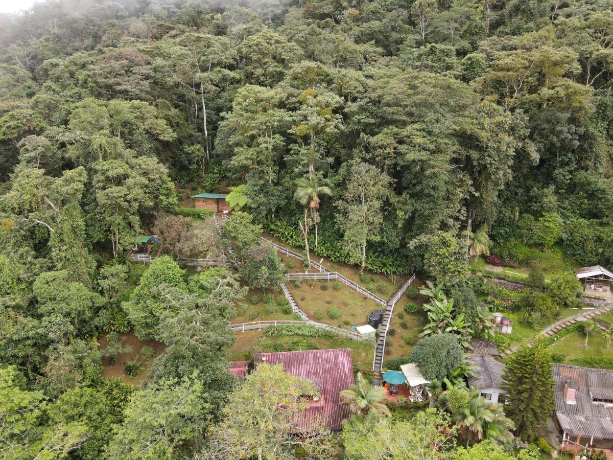 Bosque De Niebla Birding & Nature Lodge Cali