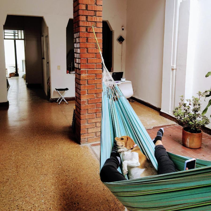 Casa Del Perro Coliving 2 Habitación en casa particular