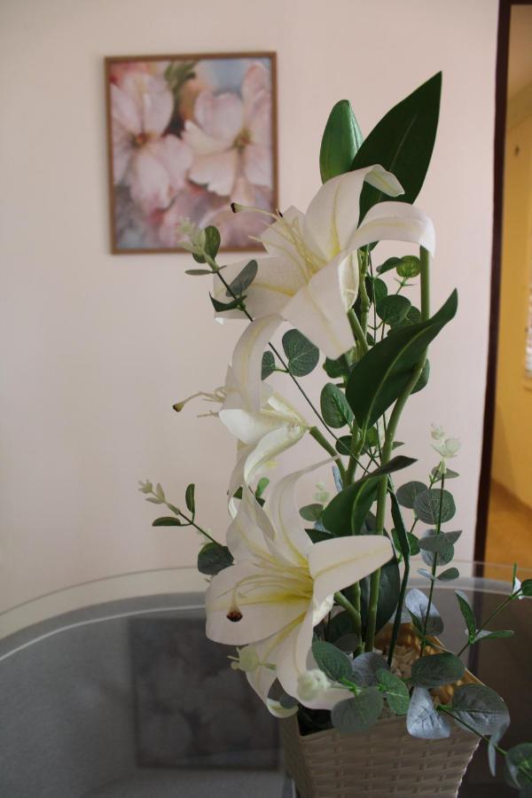 Pensión Casa Flor Del Valle *