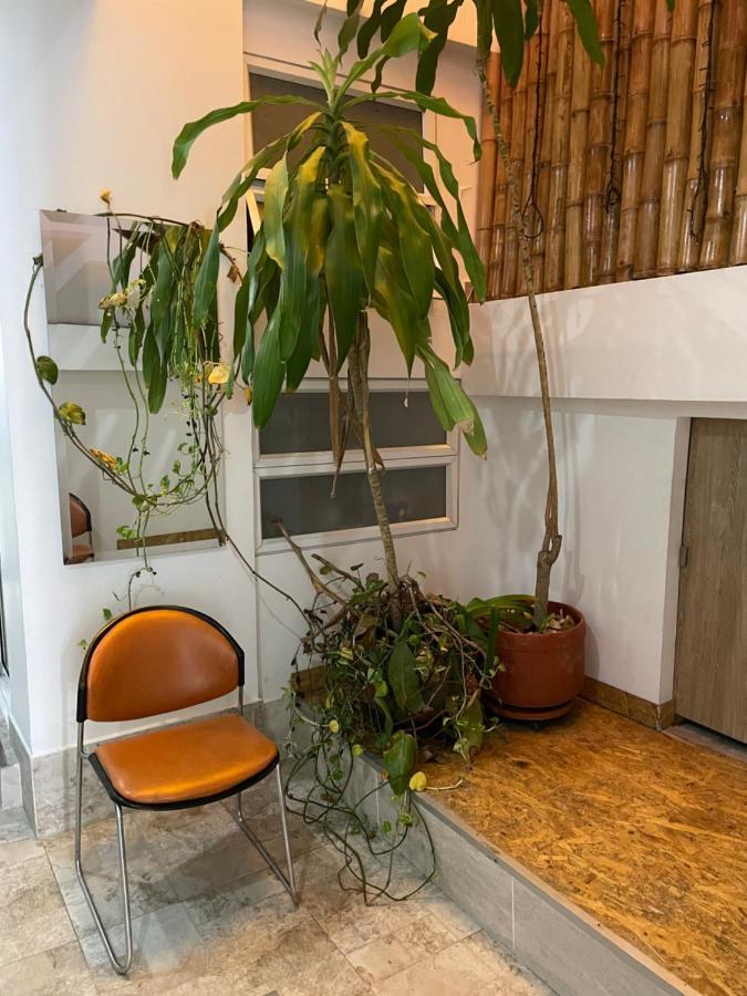 Principal Casa Zaccardi Homestay *