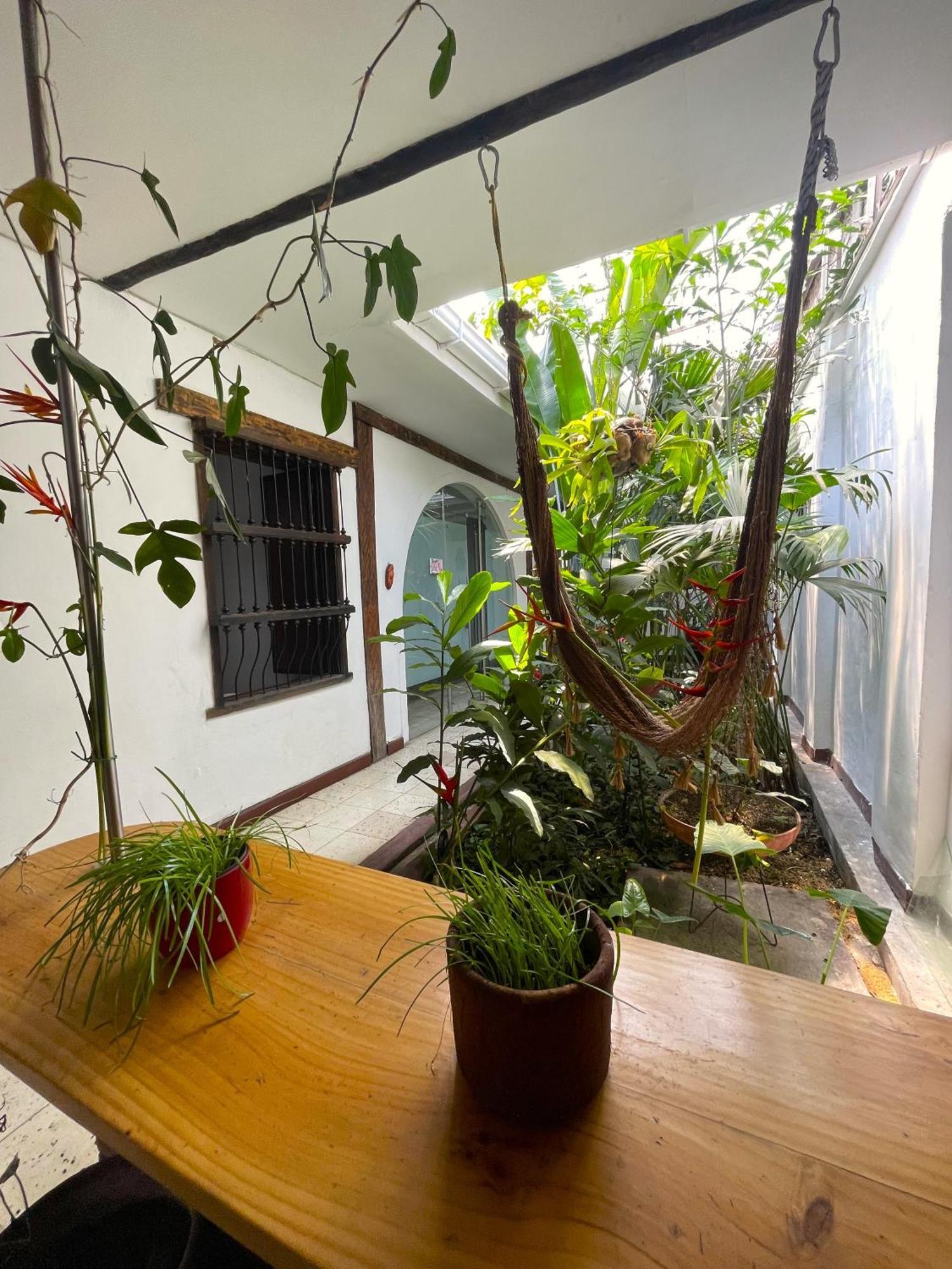 Casa Colonial En Pleno Centro Histórico De Cali- Se Alquila La Casa Entera 10 O 11 Personas O Por Habitación en casa particular Cali