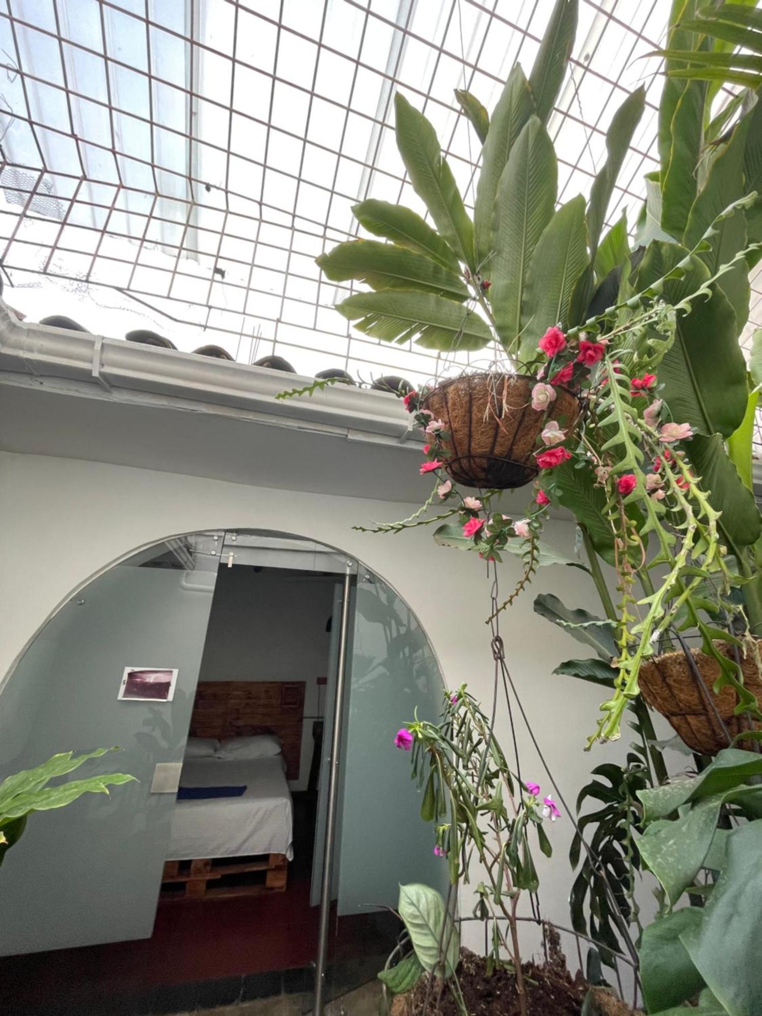 Casa Colonial En Pleno Centro Histórico De Cali- Se Alquila La Casa Entera 10 O 11 Personas O Por Habitación en casa particular *