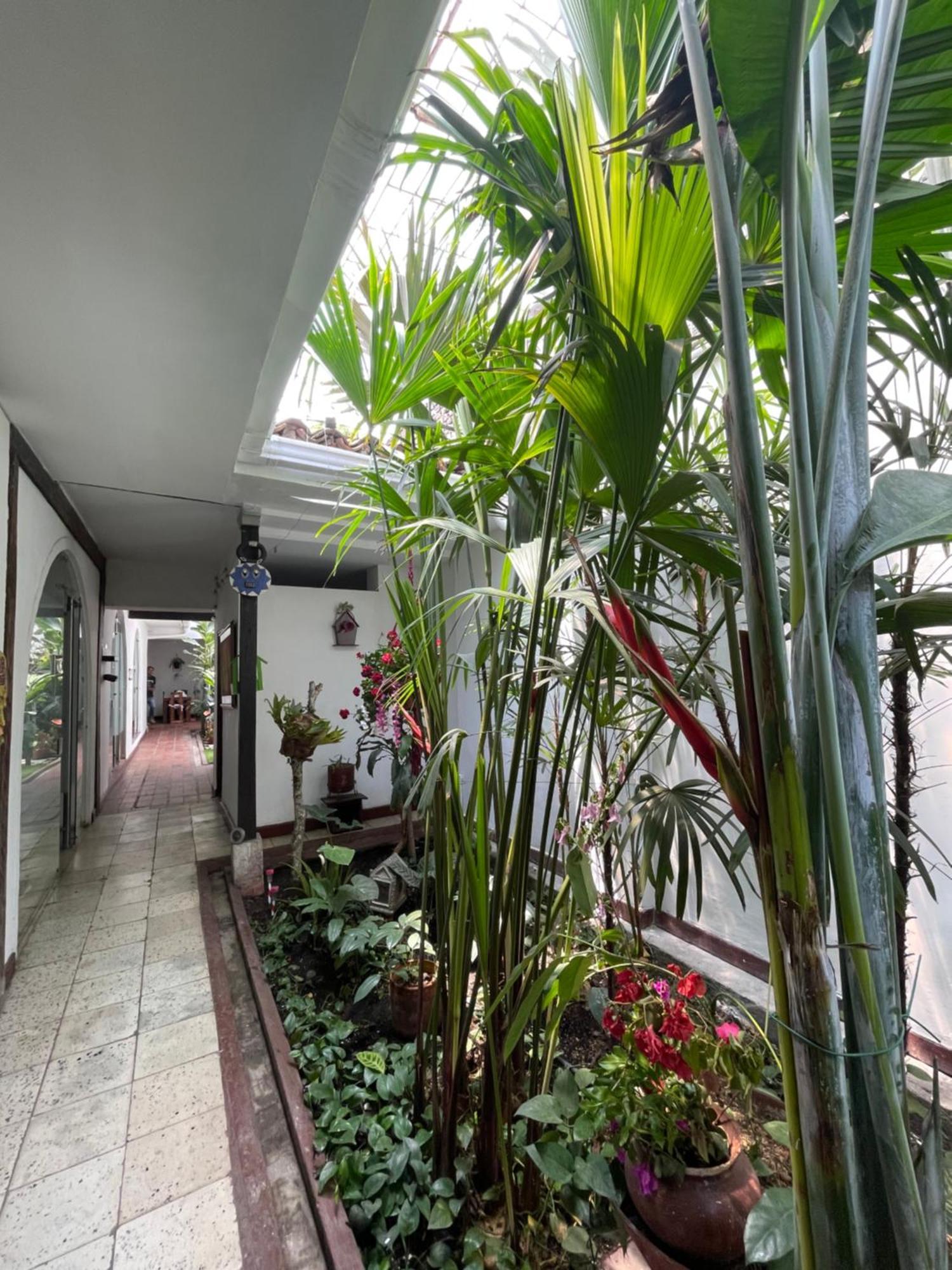 Habitación en casa particular Casa Colonial En Pleno Centro Histórico De Cali- Se Alquila La Casa Entera 10 O 11 Personas O Por Cali