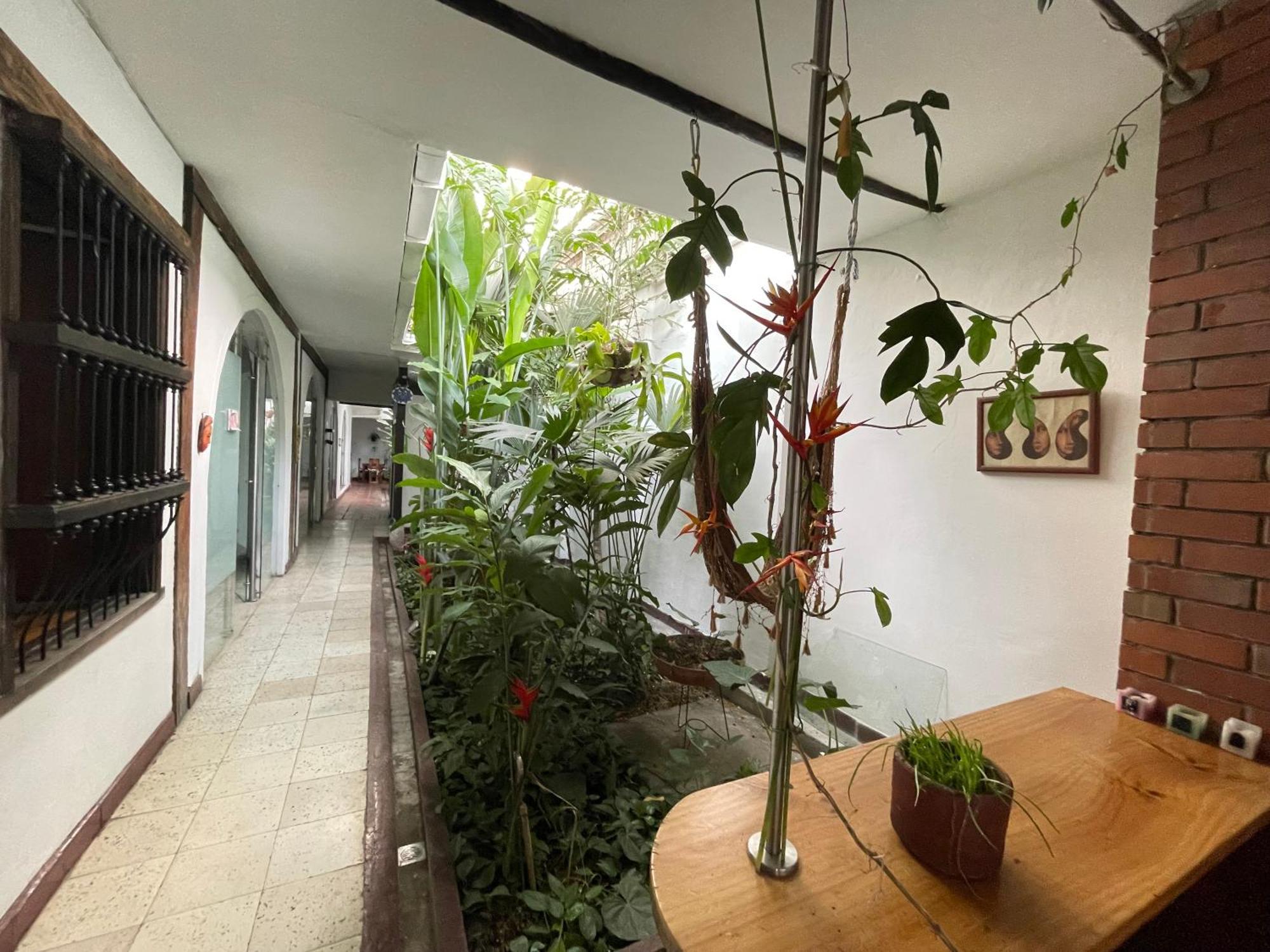 Casa Colonial En Pleno Centro Histórico De Cali- Se Alquila La Casa Entera 10 O 11 Personas O Por Habitación en casa particular Cali