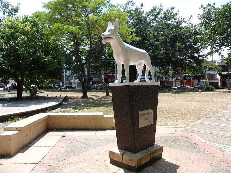 Apto Cerca A Imbanaco En La Capital De La Salsa Apartment *