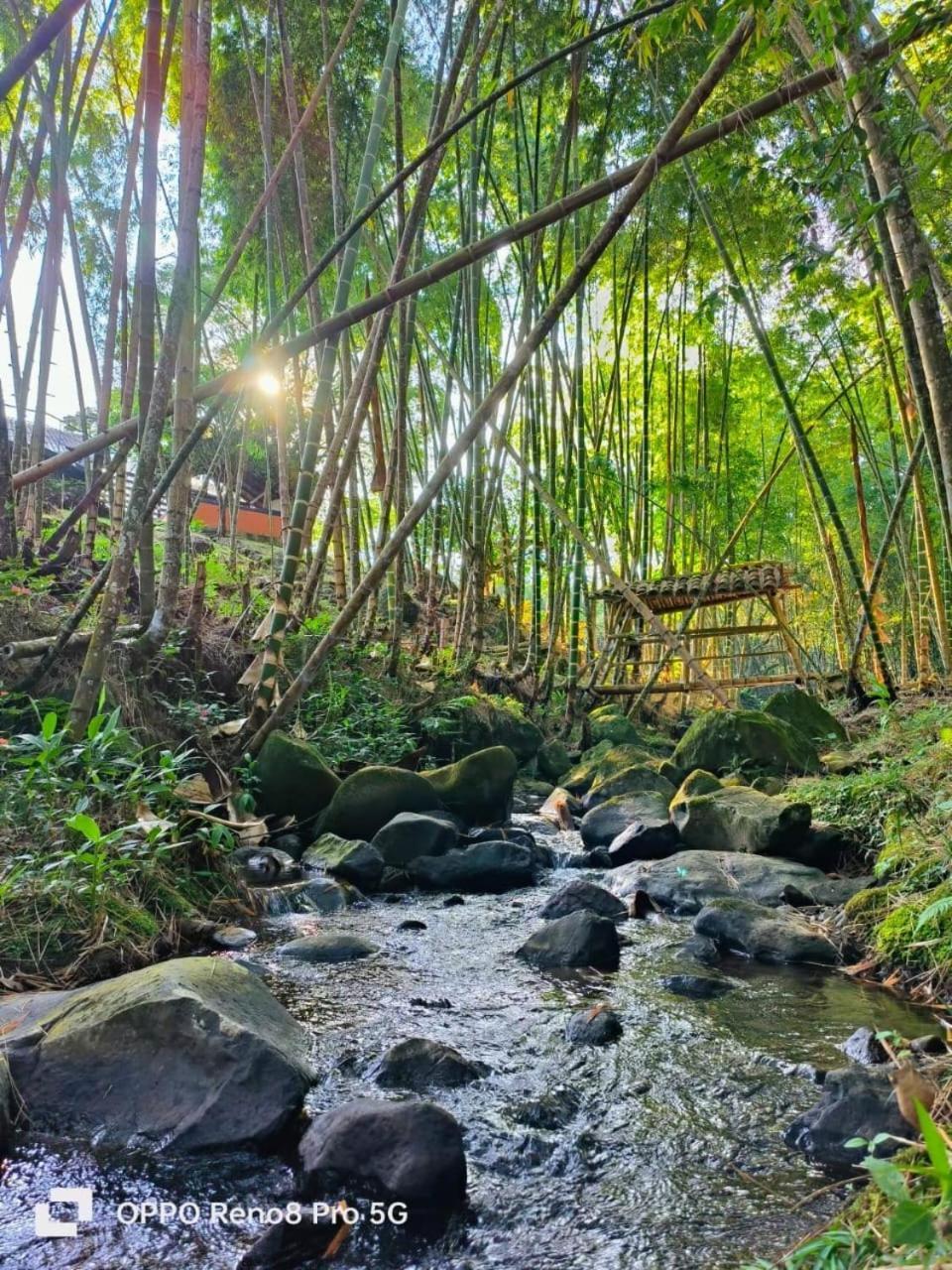 Finca Casalegre Cali