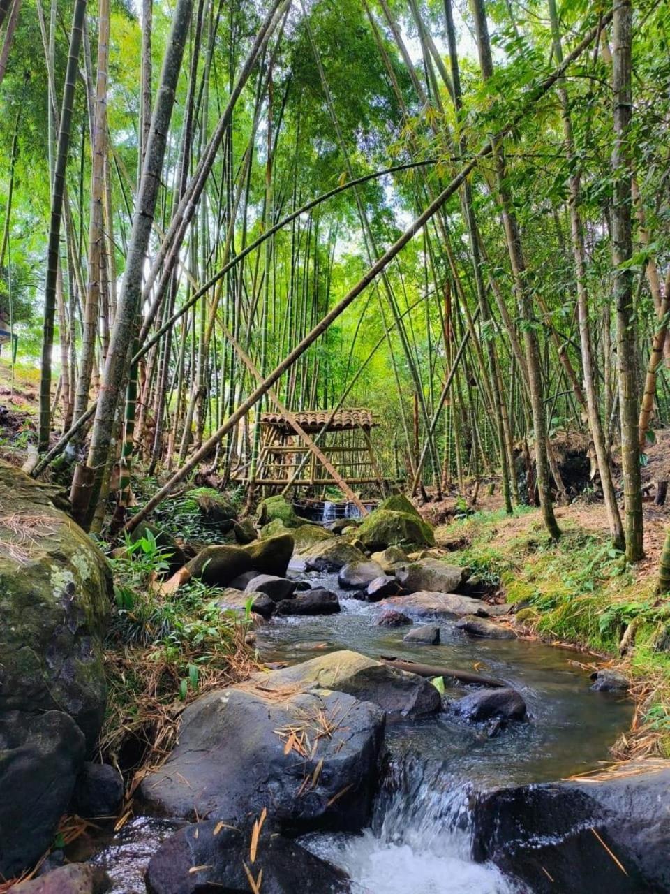 Finca Casalegre * Cali